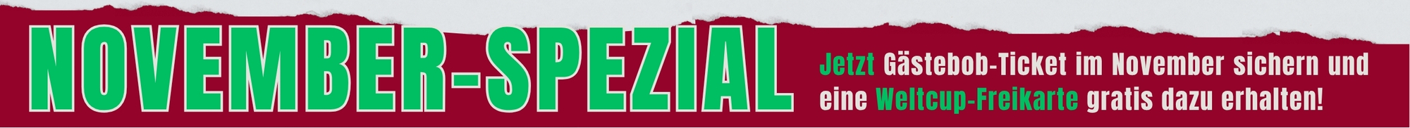NOVEMBER SPEZIAL Website (33 x 3 cm)